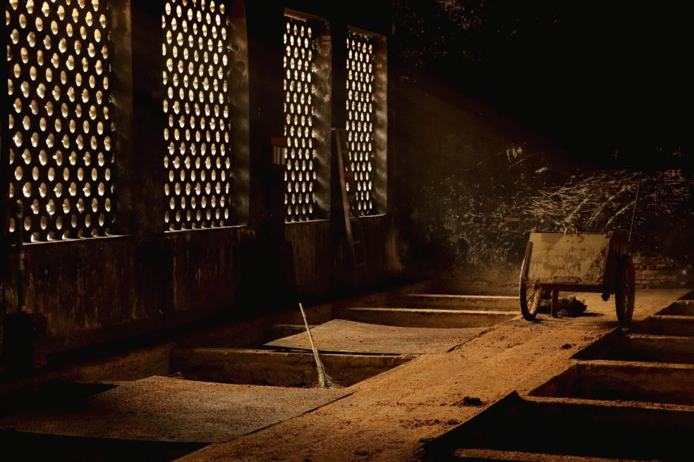 央媒點(diǎn)贊四特酒！ 深度解讀四特酒守正創(chuàng)新的品牌精神內(nèi)核